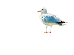 Seagull On Post V2 Vinyl Car Decal Sticker – Waterproof & UV-Resistant 8"