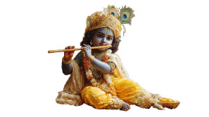 Young Shree Krishna V2 Vinyl Car Decal Sticker – Waterproof & UV-Resistant 8"