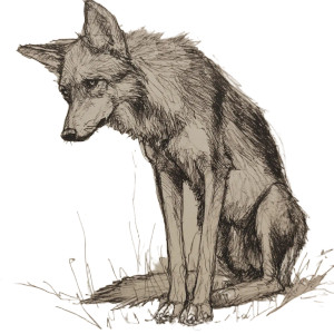 Sad Wolf Drawing Vinyl Car Decal Sticker – Waterproof & UV-Resistant 8"