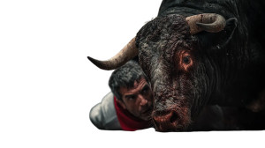 San Fermín Bull Charge Vinyl Car Decal Sticker – Waterproof & UV-Resistant 8"