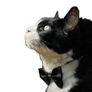 Tuxedo Cat Vinyl Car Decal Sticker – Waterproof & UV-Resistant 8" Tuxedo Cat Vinyl Car Decal Sticker – Waterproof & UV-Resistant 8"