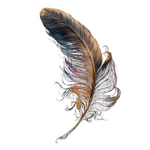 Phosphorescent Feather Quill Vinyl Car Decal Sticker – Waterproof & UV-Resistant 8"