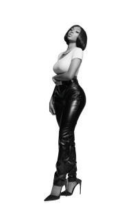 Megan Thee Stallion V2 Vinyl Car Decal Sticker – Waterproof & UV-Resistant 8"