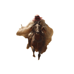 Desert Rider Vinyl Car Decal Sticker – Waterproof & UV-Resistant 8"