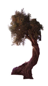 Ancient Olive Tree Vinyl Car Decal Sticker – Waterproof & UV-Resistant 8" Ancient Olive Tree Vinyl Car Decal Sticker – Waterproof & UV-Resistant 8"