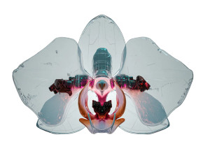 Biomechanical Orchid Hybrid Vinyl Car Decal Sticker – Waterproof & UV-Resistant 8"