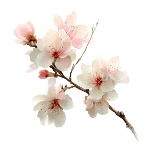 Delicate Blossoms Branch Vinyl Car Decal Sticker – Waterproof & UV-Resistant 8"