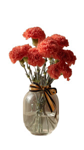 Red Carnations Vase Vinyl Car Decal Sticker – Waterproof & UV-Resistant 8"