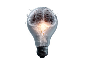Brain Lightbulb Vinyl Car Decal Sticker – Waterproof & UV-Resistant 8" Brain Lightbulb Vinyl Car Decal Sticker – Waterproof & UV-Resistant 8"