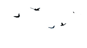 Heavenly Angels V2 Vinyl Car Decal Sticker – Waterproof & UV-Resistant 8"