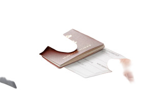 Passport Handover Vinyl Car Decal Sticker – Waterproof & UV-Resistant 8"