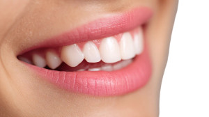 Healthy Dental Gums Vinyl Car Decal Sticker – Waterproof & UV-Resistant 8"