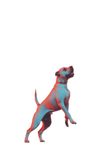 Pitbull Vs Drone Vinyl Car Decal Sticker – Waterproof & UV-Resistant 8"