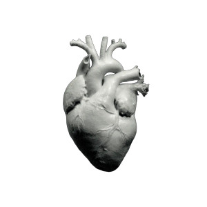 Realistic Human Heart V2 Vinyl Car Decal Sticker – Waterproof & UV-Resistant 8"