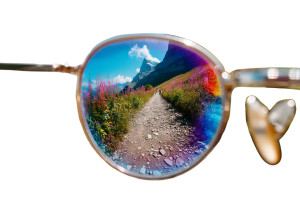 Sunglasses Reflection V2 Vinyl Car Decal Sticker – Waterproof & UV-Resistant 8"