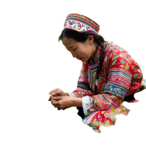 Miao Woman Picking Vinyl Car Decal Sticker – Waterproof & UV-Resistant 8"