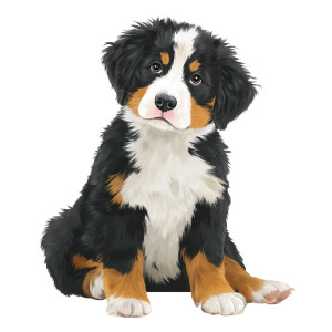 Bernese Puppy Vinyl Car Decal Sticker – Waterproof & UV-Resistant 8"