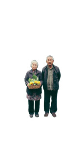 Elderly Couple Gardening Vinyl Car Decal Sticker – Waterproof & UV-Resistant 8" Elderly Couple Gardening Vinyl Car Decal Sticker – Waterproof & UV-Resistant 8"