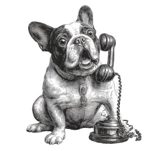 Retro Bulldog Talking Vinyl Car Decal Sticker – Waterproof & UV-Resistant 8"