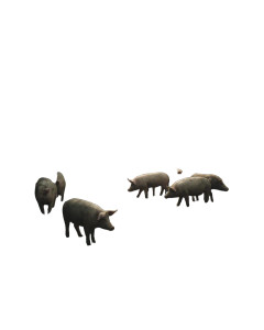 Rural Pig Farm Vinyl Car Decal Sticker – Waterproof & UV-Resistant 8" Rural Pig Farm Vinyl Car Decal Sticker – Waterproof & UV-Resistant 8"