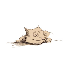 Sleeping Horned Lizard Vinyl Car Decal Sticker – Waterproof & UV-Resistant 8" Sleeping Horned Lizard Vinyl Car Decal Sticker – Waterproof & UV-Resistant 8"