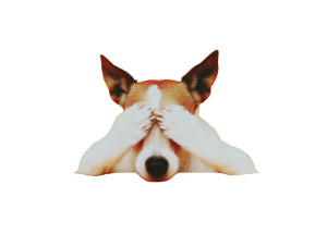 Playful Terrier Vinyl Car Decal Sticker – Waterproof & UV-Resistant 8"