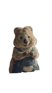 Quokka Chef Vinyl Car Decal Sticker – Waterproof & UV-Resistant 8"