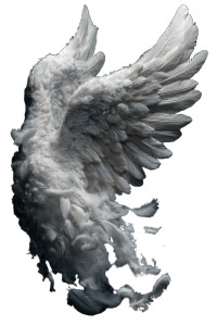 Angel Wings V7 Vinyl Car Decal Sticker – Waterproof & UV-Resistant 8"