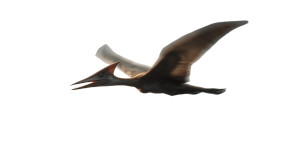 Primitive Pterodactyl Vinyl Car Decal Sticker – Waterproof & UV-Resistant 8"