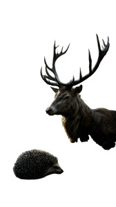 Hedgehog And Stag Vinyl Car Decal Sticker – Waterproof & UV-Resistant 8"