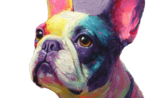 French Bulldog Art Vinyl Car Decal Sticker – Waterproof & UV-Resistant 8"