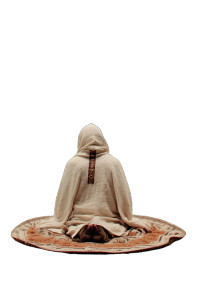 Yoda On Lily Pad Vinyl Car Decal Sticker – Waterproof & UV-Resistant 8"