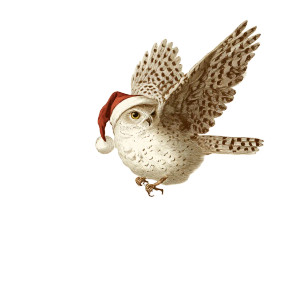 Snowy Owl Santa Vinyl Car Decal Sticker – Waterproof & UV-Resistant 8"