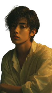 Japanese Male Idol V3 Vinyl Car Decal Sticker – Waterproof & UV-Resistant 8"