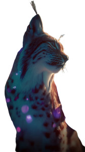 Petal-Winged Lynx Vinyl Car Decal Sticker – Waterproof & UV-Resistant 8"