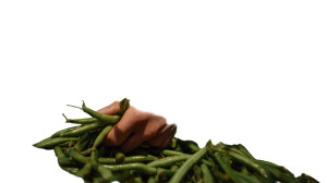 Hand Grasping Beans Vinyl Car Decal Sticker – Waterproof & UV-Resistant 8"