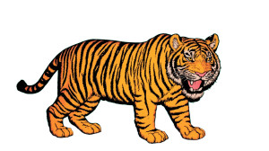 Dignified Tiger Vinyl Car Decal Sticker – Waterproof & UV-Resistant 8" Dignified Tiger Vinyl Car Decal Sticker – Waterproof & UV-Resistant 8"