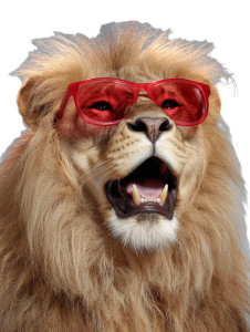 Smiling Lion Vinyl Car Decal Sticker – Waterproof & UV-Resistant 8"