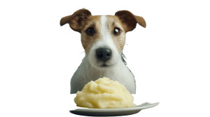 Anthropomorphic Dog Dining Vinyl Car Decal Sticker – Waterproof & UV-Resistant 8"