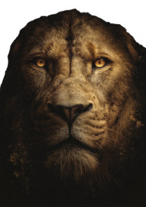 Lion T-Shirt Design Vinyl Car Decal Sticker – Waterproof & UV-Resistant 8"