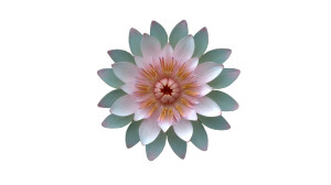 Lotus In Pond Vinyl Car Decal Sticker – Waterproof & UV-Resistant 8"