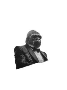 Gorilla Pianist Vinyl Car Decal Sticker – Waterproof & UV-Resistant 8" Gorilla Pianist Vinyl Car Decal Sticker – Waterproof & UV-Resistant 8"
