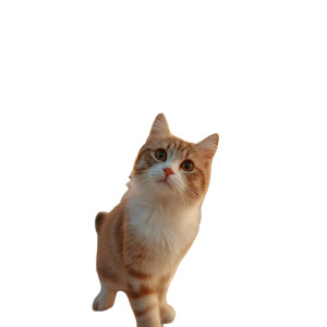 Cat Selfie V2 Vinyl Car Decal Sticker – Waterproof & UV-Resistant 8"