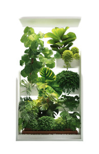 Green Plant Arrangement Vinyl Car Decal Sticker – Waterproof & UV-Resistant 8"