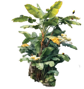 Tropical Plants Illustration Vinyl Car Decal Sticker – Waterproof & UV-Resistant 8"