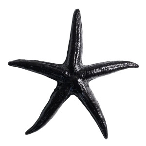 Vanta Black Starfish Vinyl Car Decal Sticker – Waterproof & UV-Resistant 8" Vanta Black Starfish Vinyl Car Decal Sticker – Waterproof & UV-Resistant 8"