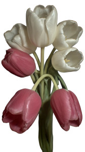 Tulips Bouquet Vinyl Car Decal Sticker – Waterproof & UV-Resistant 8"