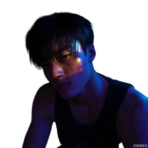 Tipsy Asian Student Vinyl Car Decal Sticker – Waterproof & UV-Resistant 8"