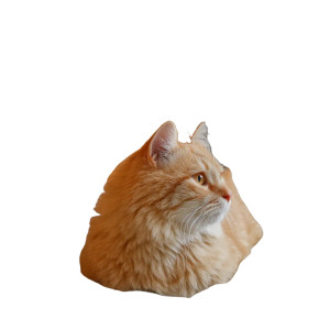 Cat On Bed Vinyl Car Decal Sticker – Waterproof & UV-Resistant 8"