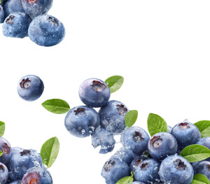 Falling Blueberries Vinyl Car Decal Sticker – Waterproof & UV-Resistant 8" Falling Blueberries Vinyl Car Decal Sticker – Waterproof & UV-Resistant 8"